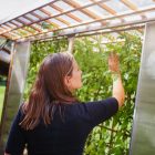 Tomatenhaus Easyfit 7 Easyfit Tomatenhaus1 e1604327457178 Tomatenhaus Easyfit